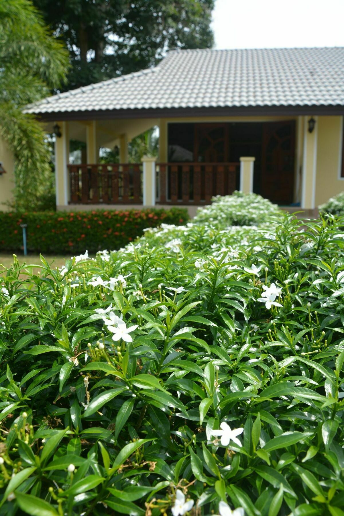 באנג סאפאן Apple Bungalows מראה חיצוני תמונה